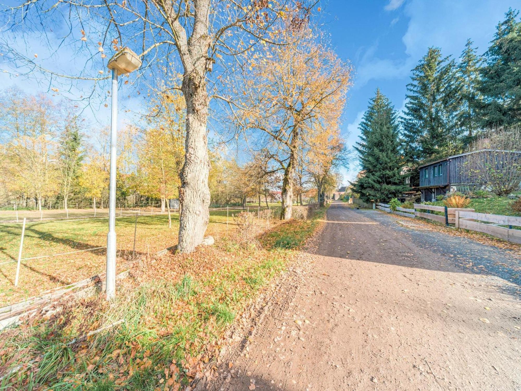Comely Holiday Home In G Ntersberge Near Forest Güntersberge Exterior foto